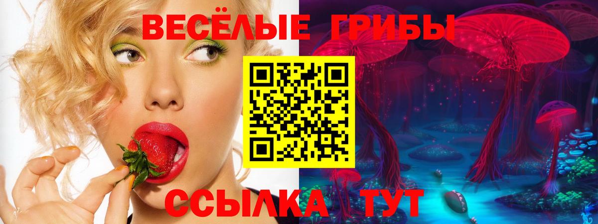 Галлюциногенные грибы прущие грибы Нижнекамск