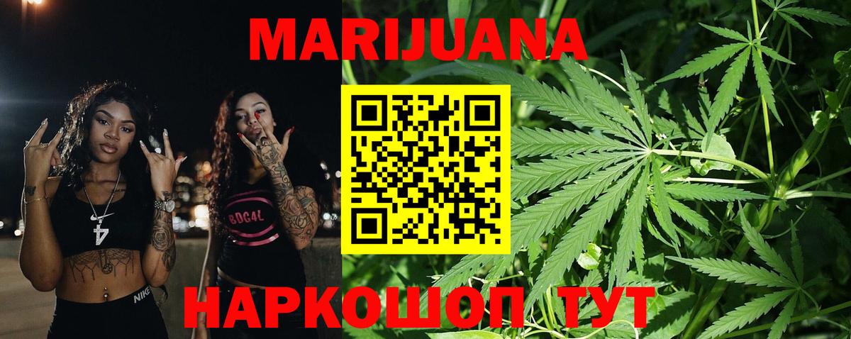 Конопля гибрид Нижнекамск